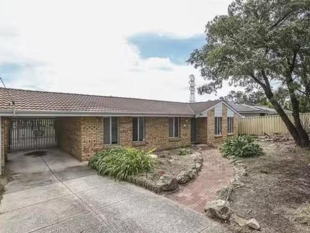 New 3 BR 29 Southwell Crescent, Hamilton Hill, WA 6163