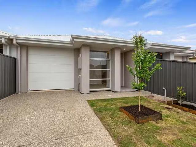Cheap 3 BR 44A Jervois Street, South Plympton, SA 5038