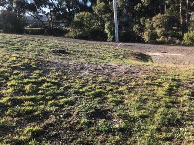 Price slashed! Where can you buy land for $89 Grand?