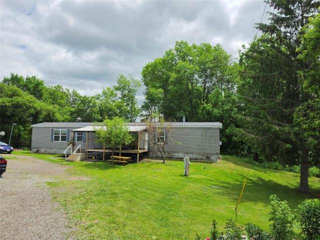 Chenango Forks NY 13746 103301392