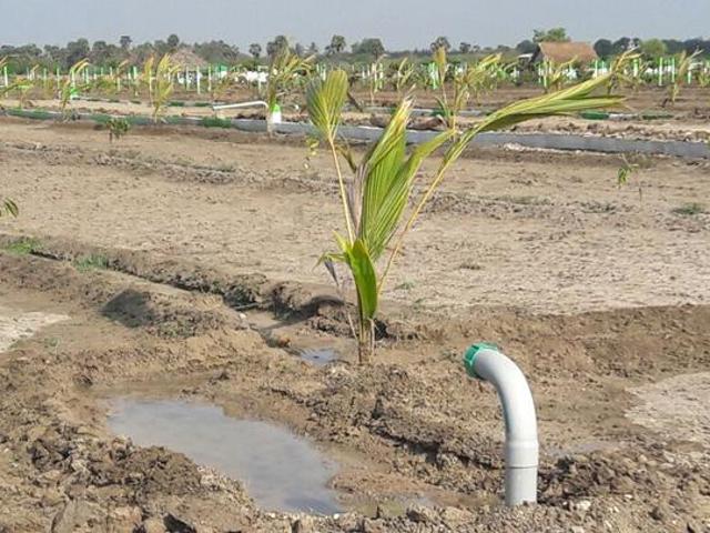 Chengalpattu Residential Plot For Sale Chennai
