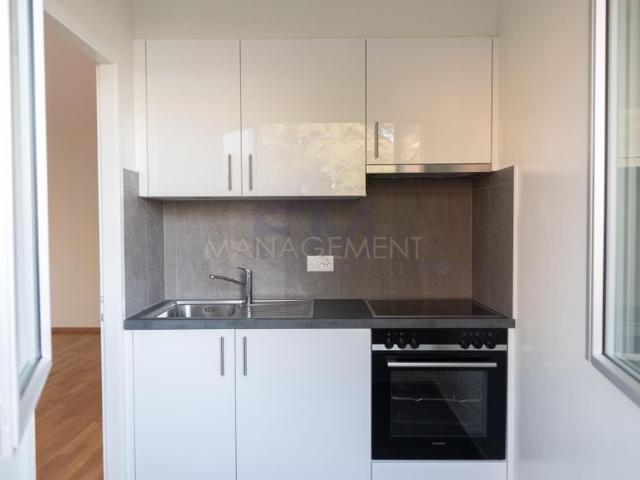 Chêne Bourg, Av. Petit Senn, 1.5 rooms on the 1st floor