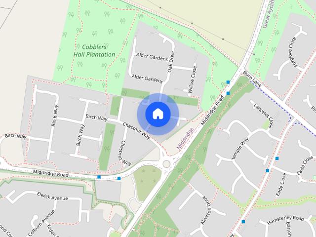 Chestnut Way, Newton Aycliffe