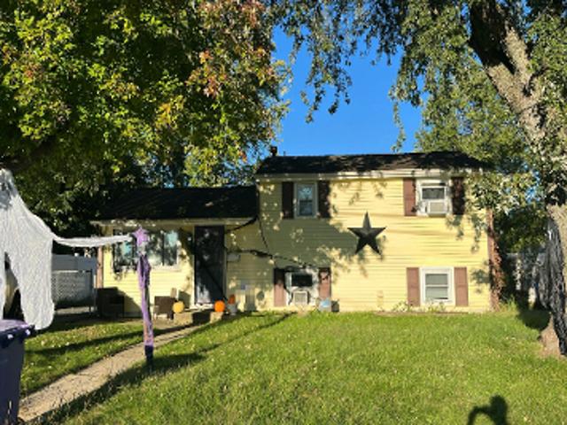 Chestnut Dr