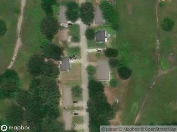 Chestnut Dr