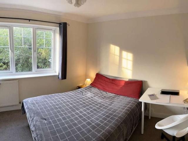Chestnut Hill, Norwich, Norfolk, NR4