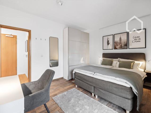 Chic Neustadt apartment in the back building with its own underground parking space and balcony, Dresden Amsterdam Apartments for Rent