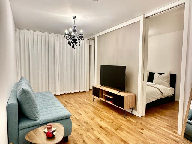 Chic apartment in the center, Dresden Amsterdam Apartments for Rent