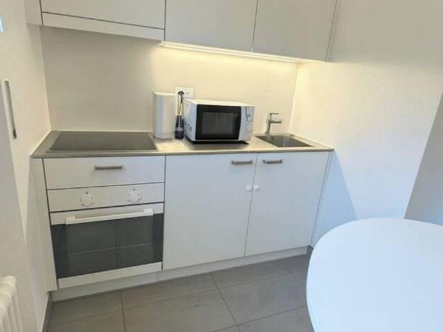 Chic Lakeside Haven in Prime Lausanne Location, Lausanne Amsterdam Apartments for Rent