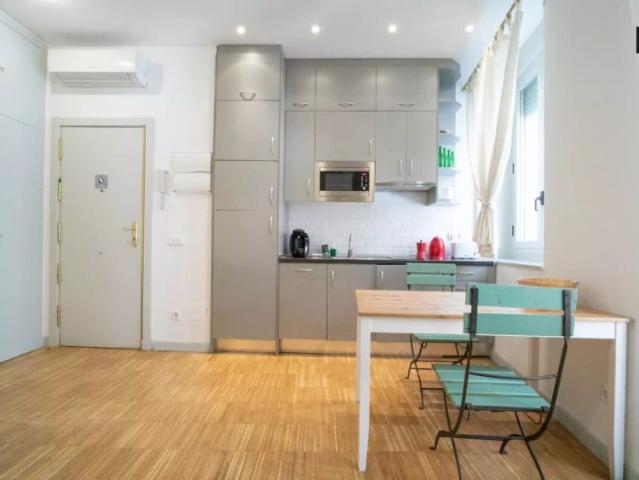 Chic studio apartment with balcony and AC for rent near Metro in Madrid Centro