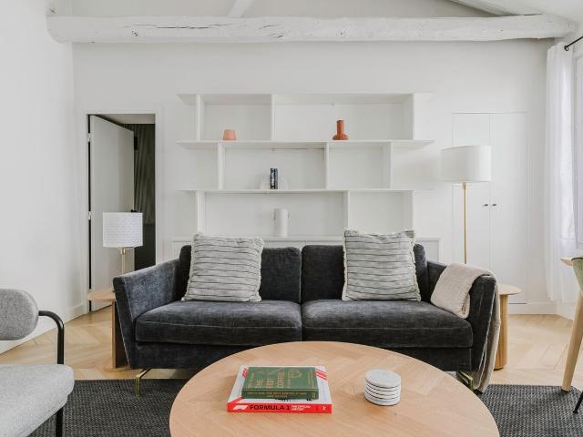 Chic Two Bedroom Apartment Near Paris Attractions, Paris Amsterdam Apartments for Rent