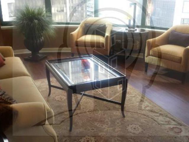 CHICAGO IL 60611 78117864