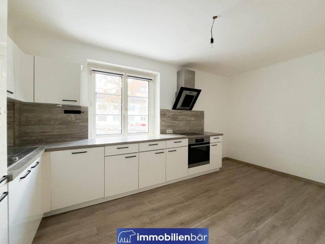 Chice 3 Zimmerwohnung mit Loggia nähe Stadtpark