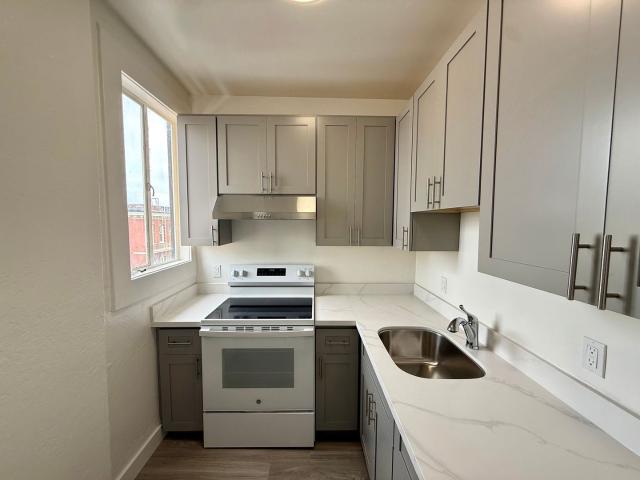 Chinatown 1BR w/ Updated Kitchen & Bathroom!