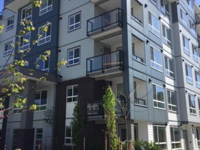 Cinema Condos CINEMA APTS 201A Apartment for Rent