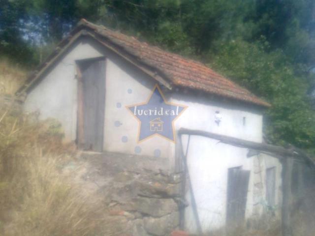 Cinfães Cinfães 105326123
