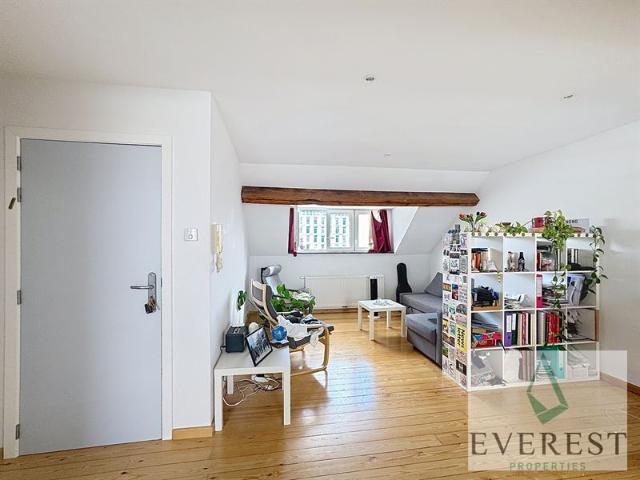 Cinquantenaire! Appartement Meublé 1 chambre