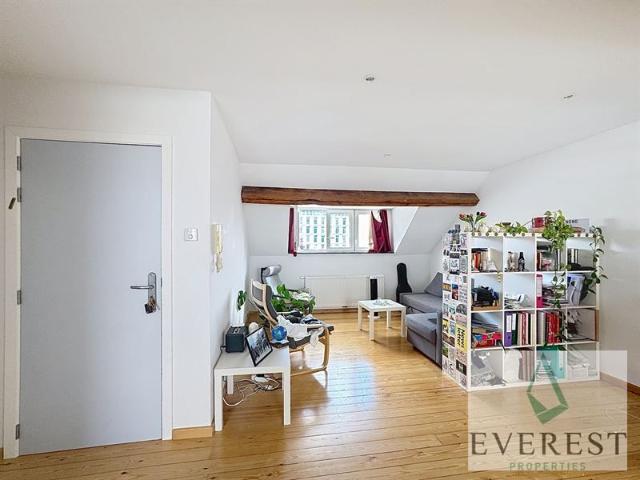 Cinquantenaire! Appartement NON MEUBLE 1 chambre