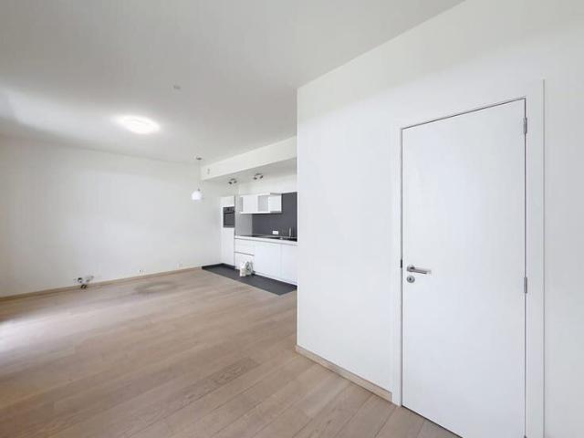 CINQUANTENAIRE – Ideally located studio!