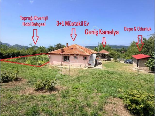 Cide Demirtaş Emlaktan Satılık 3+1 Müstakil Ev Ve Bahçesi
