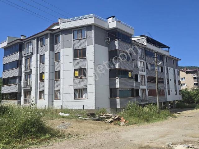 Cide İlkim Emlak'tan Geniş Satılık 2+1 Şube Yolunda