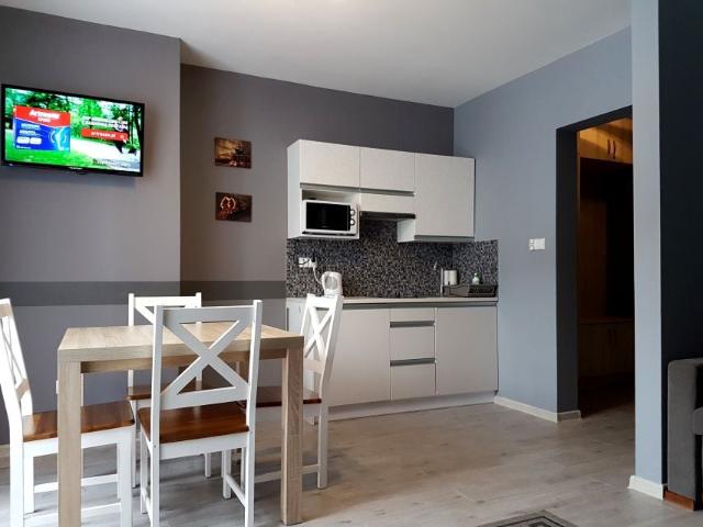 Cieśliska 47 49,20 m², Szczawnica
