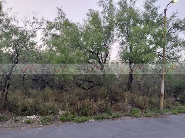 Cienega de Flores
