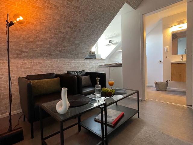 City Center. Mini Studio Apartment, Karlsruhe Amsterdam Apartments for Rent