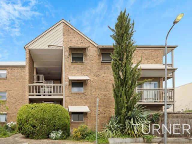 City Fringe Living Moments from Hutt Street & the Parklands
