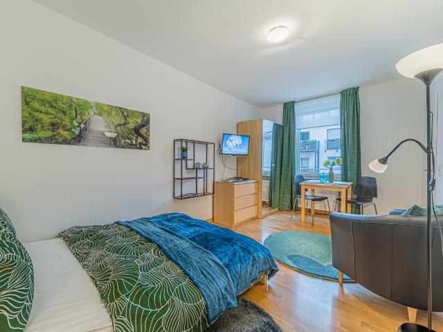 City Residence: Well equipped apartment in a beautiful location near Holzhausenpark – euhabitat