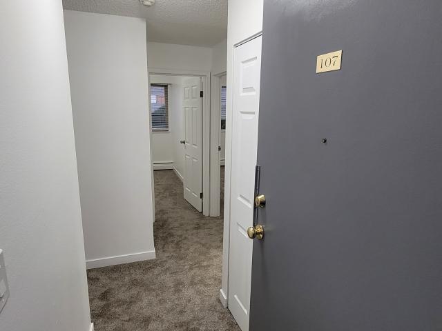 City View Apartments Two Bedroom Unit 207 Apartment for Rent