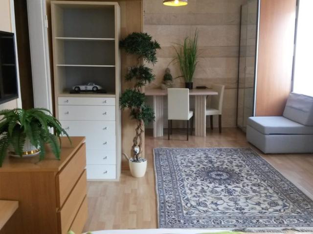Citystudio in the center of Düsseldorf, Dusseldorf Amsterdam Apartments for Rent