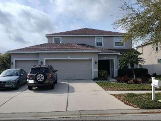 Citrus Leaf Dr