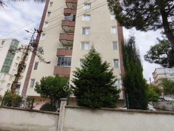 Bafra, Samsun ili, Karadeniz Bölgesi