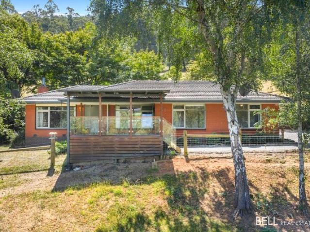 Come Home to Serenity and Nature on over 9 acres