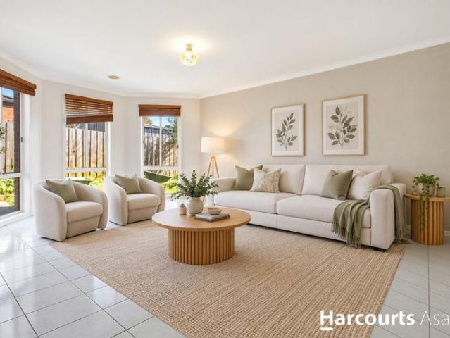 Comfort in Hampton Park's Quiet Corner