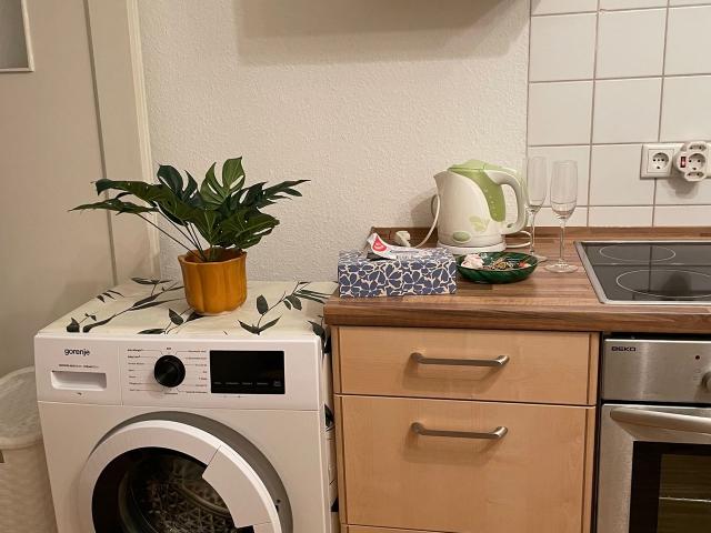 Comfort 2,5 room apartment directly at the park, Gelsenkirchen Amsterdam Apartments for Rent