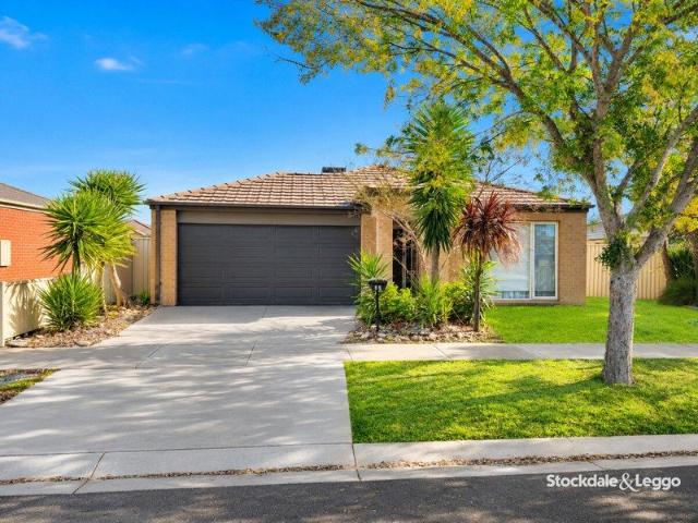 COMFORTABLE 4 BEDROOM FAMILY LIVING