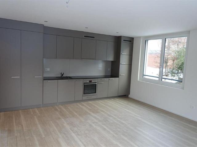 Comfortable 1.5 room apartment in Lindenpark – available from 1 November 2026