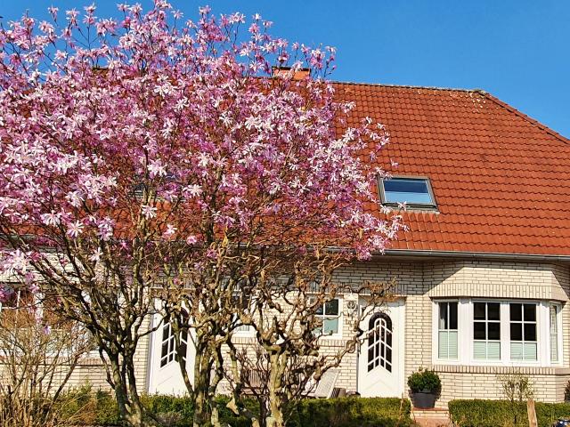 Comfortable, well maintained and fully equipped house on 115 m²