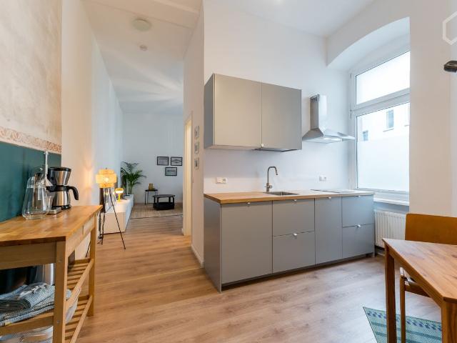 Comfortable apartment close to river Spree, Berlin Amsterdam Apartments for Rent