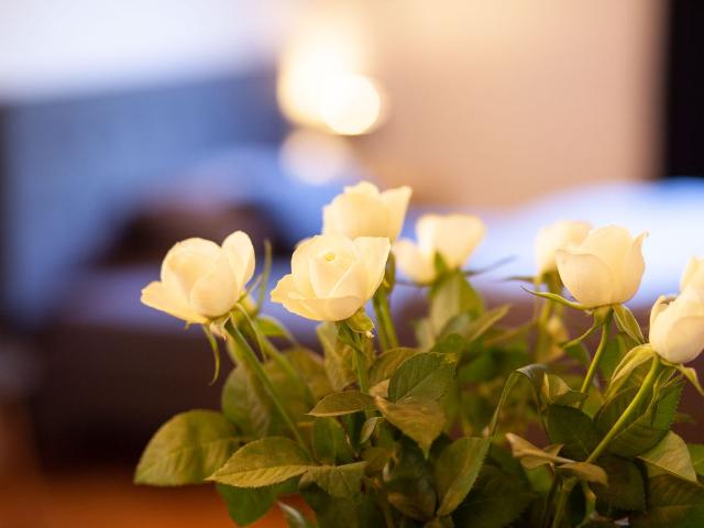 Comfortable apartment in St Magnus Villa, Bremen Amsterdam Apartments for Rent