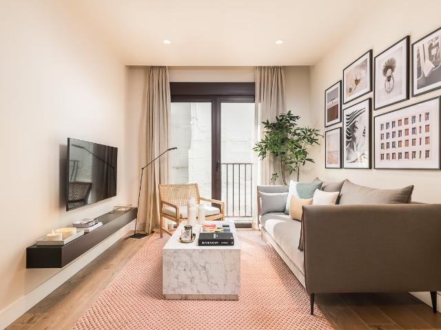 Comfortable apartment in the Malasaña area