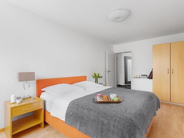 Comfortable Apartment in Zurich Oerlikon – Ideal for Professionals, Zurich Amsterdam Apartments for Rent
