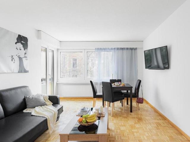 Comfortable Apartment in Zurich Oerlikon – Ideal for Professionals, Zurich Amsterdam Apartments for Rent