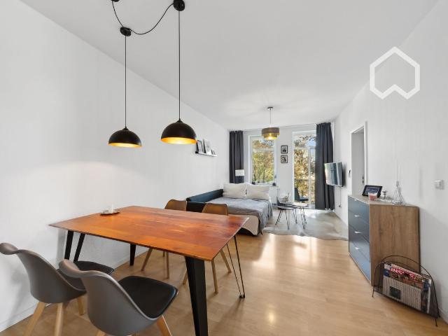 Comfortable apartment with 2 bedrooms, office desk, printer, balcony and private parking space, Leipzig Amsterdam Apartments for Rent