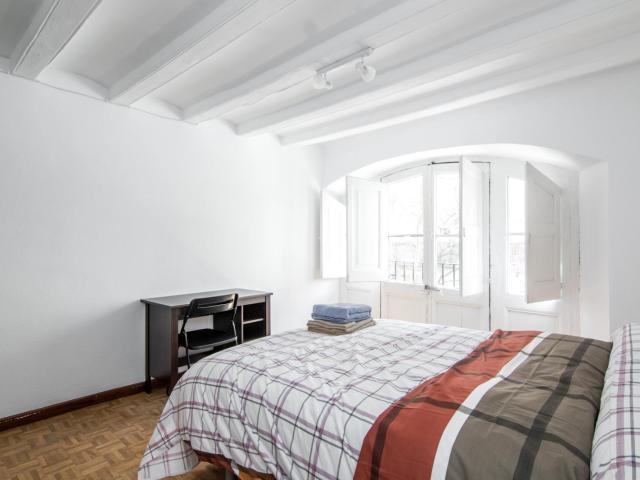 Comfortable double bedroom in El Raval