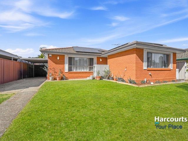 Comfortable Family Home with Separate Studio on 539sqm Approx