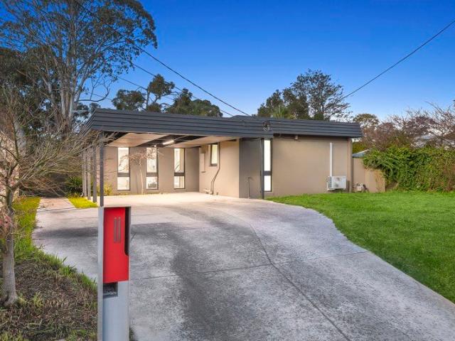 Comfortable Family Living with Poolside Appeal on 677sqm in the Coveted Wheelers Hill School Zone
