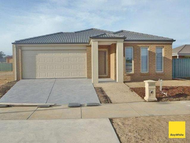 Comfortable Four Bedroom Home in a Convenient Ascot Location